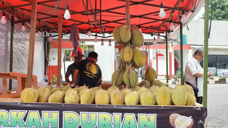 Musim Durian Tiba, Yuk Cari Tahu tentang Buah Berduri yang Memiliki Aroma Sangat Kuat Ini (Foto Buah Durian/Aditya Eka Prawira/Liputan6.com)