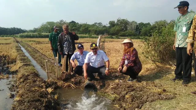 Dirjen Sarana dan Prasarana Pertanian (PSP) Kementerian Pertanian (Kementan) Sarwo Edhy