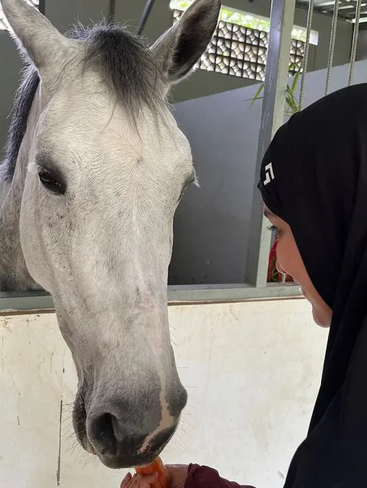 <p>"Jatuh dari kuda, Masih kebayang kemarin nemenin istri latihan kuda, Terus jatuh pas depan mata Ya Allah," tulis teukuwisnu mengawali ceritanya yang diunggah 13 Maret. [Instagram/shireensungkar]</p>