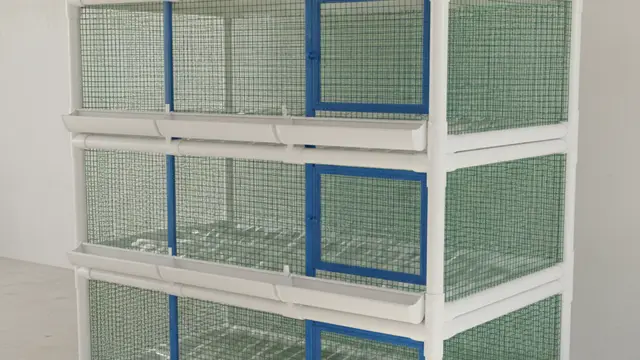 Desain Kandang Ayam Petelur Hemat Lahan 1x1 Meter. AI