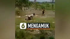 thumbnail pria mengamuk bacok polisi tni