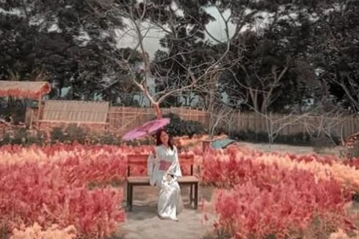 Taman Sosmed di Ampenan, Mataram, NTB