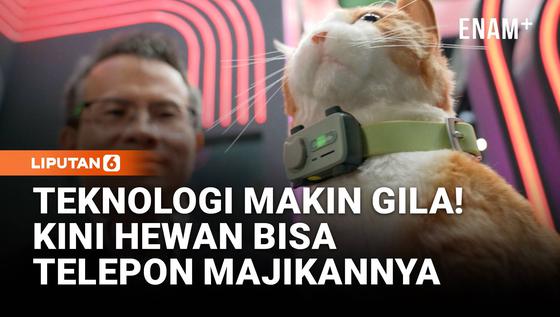 Teknologi Makin Gila! Kini Hewan Peliharaan Bisa Telepon Majikannya
