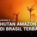 Hutan Amazon di Brasil Terbakar