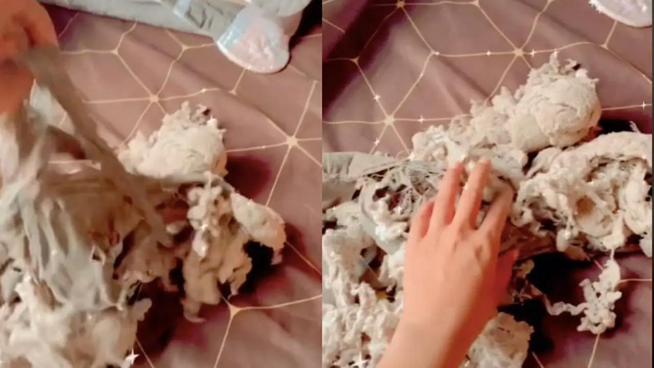 Dipertahankan Hingga 19 Tahun, Wanita Ini Resah Tinggalkan Bantal Lapuknya Saat Menikah