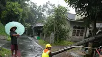 Yogyakarta dikepung pohon tumbang