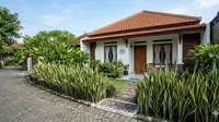 8 Tanaman Pagar Hidup Anti Retak untuk Rumah Kecil: Estetika dan Keamanan Fondasi