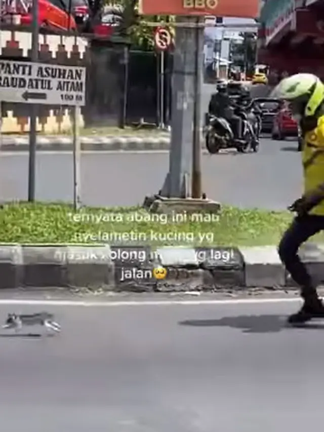 Driver ojol berlarian selamatkan kucing (Instagram/@memomedsos)