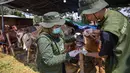 Petugas kesehatan dari Dinas Ketahanan Pangan dan Pertanian memeriksa mulut sapi di pasar ternak menjelang Idul Adha atau hari raya kurban bagi umat Muslim, di Surabaya, Jawa Timur, pada Rabu 20 Mei 2026. (JUNI KRISWANTO/AFP)
