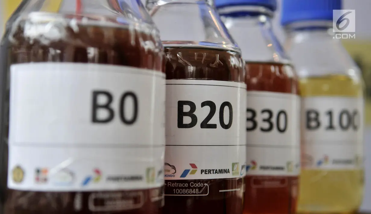 Sampel biodiesel B0, B20, B30, dan B100 dipamerkan saat uji jalan Penggunaan Bahan Bakar B30 untuk kendaraan bermesin diesel di Kementerian ESDM, Jakarta, Kamis (13/6/2019). (merdeka.com/Iqbal S. Nugroho)
