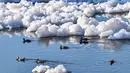 Burung berenang di sungai Tiete yang diselimuti busa beracun di Salto, 100 km dari Sao Paulo, Brasil pada 7 Juli 2023.  (NELSON ALMEIDA / AFP)