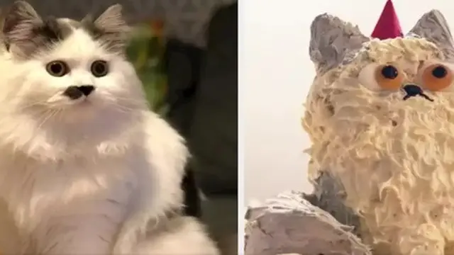 Kocak, 6 Potret Kue Mirip Hewan Ini Tak Sesuai Ekspektasi