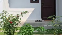 4 Tips Menanam Sayuran di Depan Kamar Kos, Pengalaman Pemula Lahan Sempit