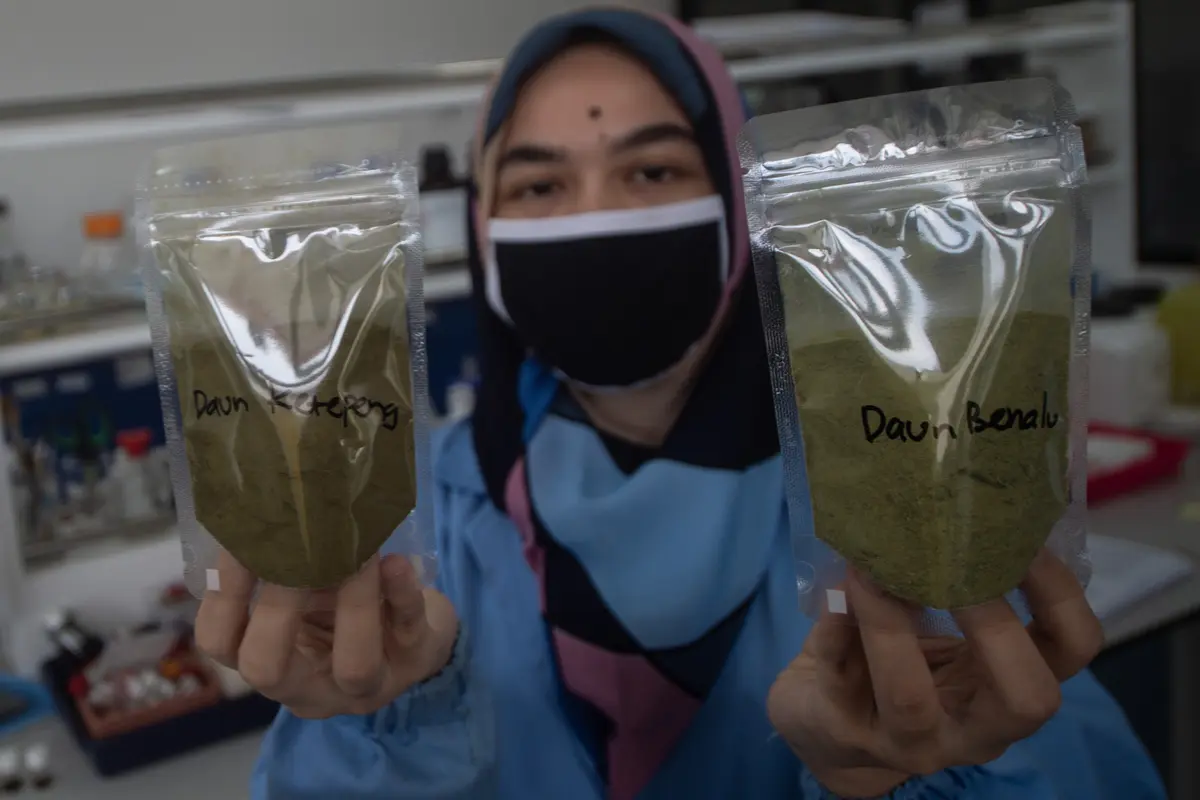 LIPI Teliti Obat Herbal Penyembuh Covid-19