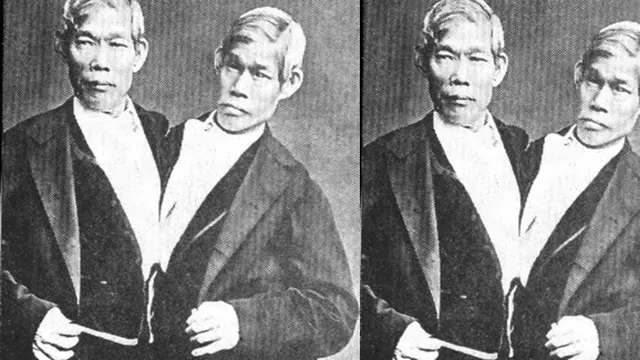 Foto: copyright oddee.com