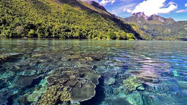 10 Tempat Wisata di Ambon yang Terkenal, Alam dan Kotanya Indah - Hot