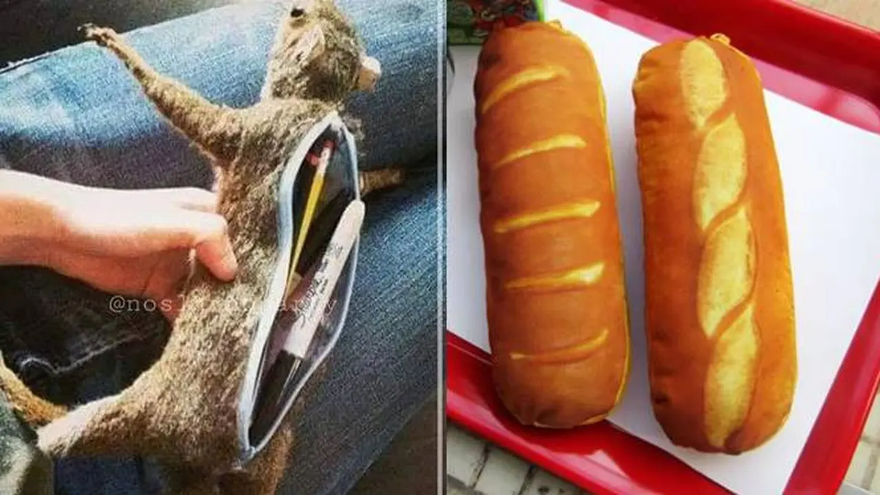 6 Tempat Pensil Unik, Ada yang Bentuk Makanan Hingga Seekor Tupai