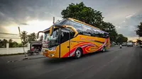 Aktivitas bus antar provinsi yang melayani Balikpapan-Banjarmasin selama arus mudik lebaran. (Liputan6.com/Istimewa)