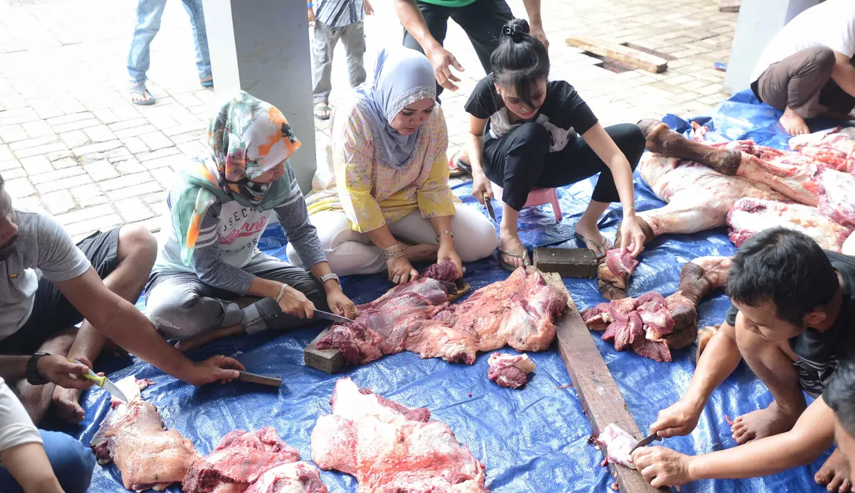 Penyanyi dan pemeran itu juga terlihat ikut membantu memotong-motong daging sapi yang akan dibagikan. Terlihat, ia begitu serius didampingi kedua orangtuanya yang ikut motong daging. (Adrian Putra/Bintang.com)