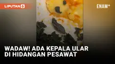 Horor! Kru Kabin Temukan Kepala Ular di Makanan Pesawat