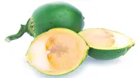 Khasiat Buah Pinang untuk Kesehatan