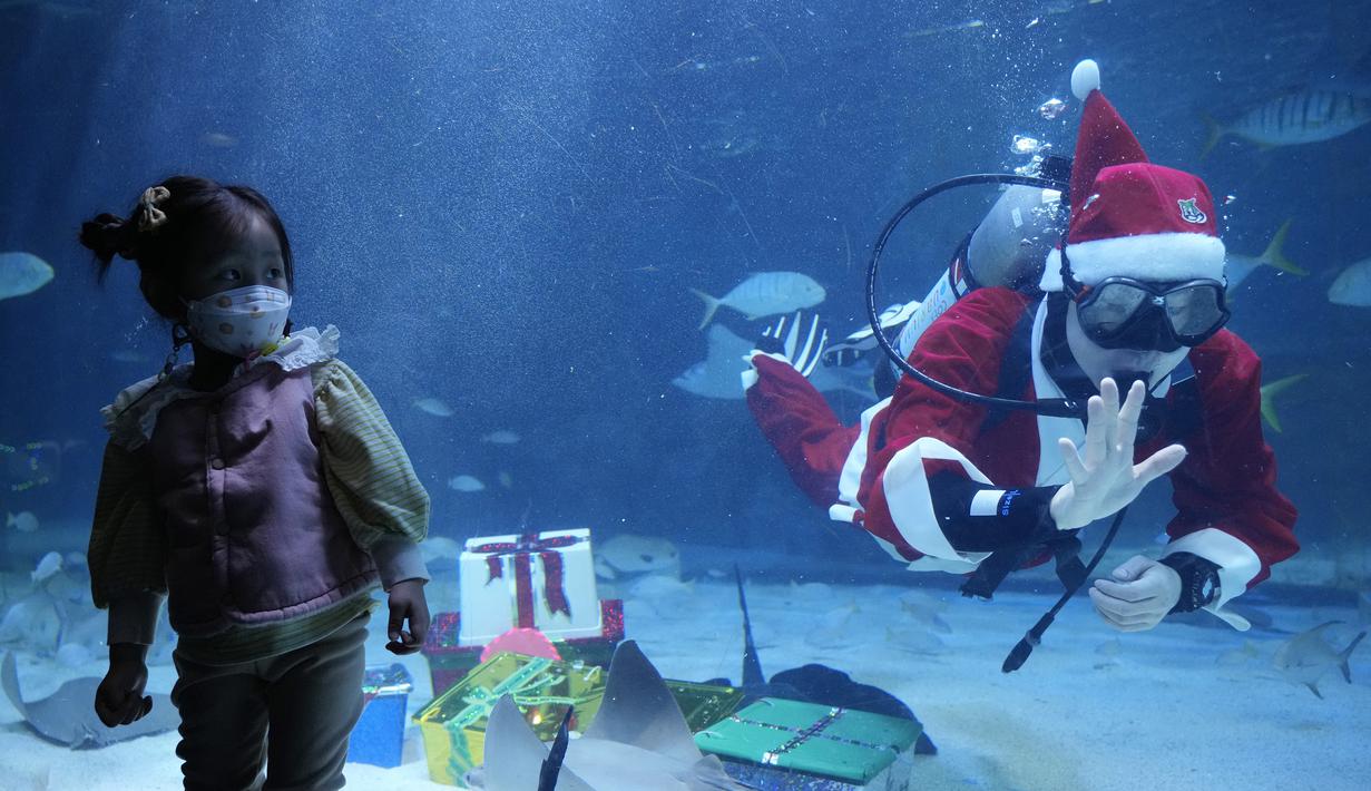 Seorang gadis melihat penyelam yang mengenakan pakaian Sinterklas pada acara untuk mempromosikan liburan Natal di Coex Aquarium, Seoul, Korea Selatan, Jumat (3/12/2021). Natal adalah salah satu hari libur terbesar yang dirayakan di Korea Selatan. (AP Photo/Ahn Young-joon)
