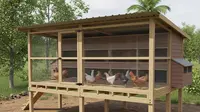 7 Cara Menata Sirkulasi Udara Kandang Ayam agar Nyaman dan Higienis, Optimalkan Kesehatan