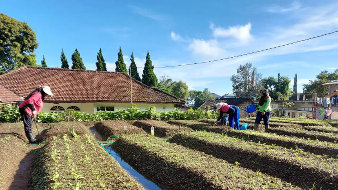 (Foto: Dok Istimewa)