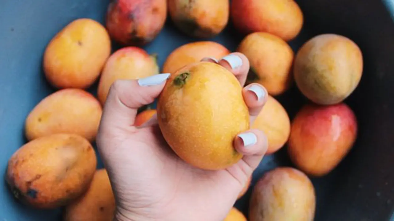 Masker mangga/copyright Unsplash.com/Fabiola Peñalba