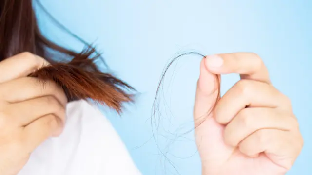Penyebab Rambut Patah yang Sering Tidak Disadari, Bagaimana Cara Mengatasinya?