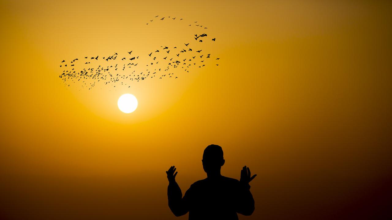 Video porno ozaro onanizm