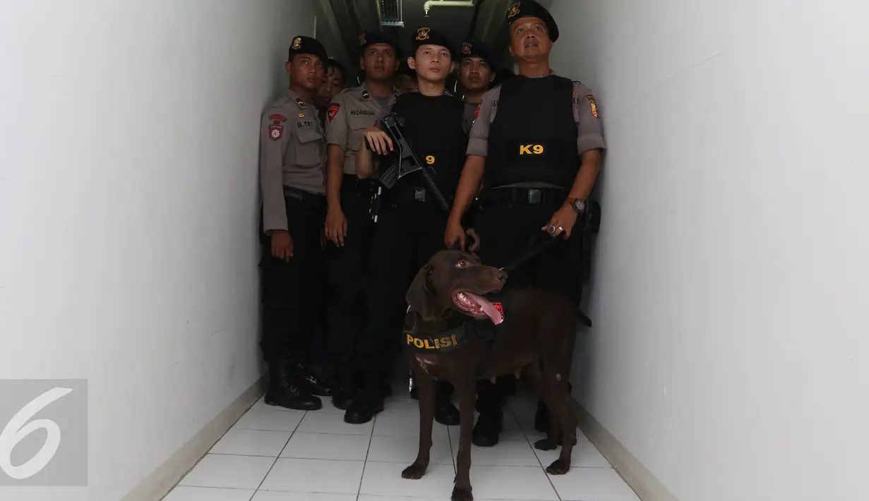 Petugas Polres Jaksel menggunakan anjing pelacak menyisir kamar yang berada di Apartemen Kalibata City, Pancoran, Jakarta, Kamis (25/2). Razia digelar dalam rangka mengantisipasi peredaran dan penyalahgunaan narkoba. (Liputan6.com/Herman Zakharia)