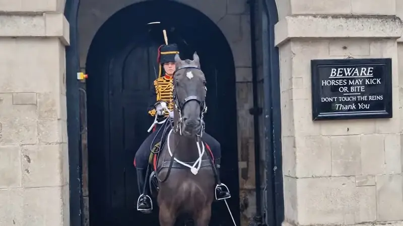 Pemandangan Langka bagi Turis, Penjaga Gerbang Istana Buckingham Inggris Menangis Saat Bertugas