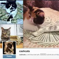 Foto Kucing-Kucing yang Lebih Tajir dari Kamu | via: instagram.com/cashcats