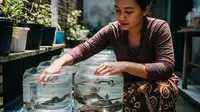 Berapa Ekor Lele Muat di Satu Galon? Panduan Lengkap Budidaya Ikan di Lahan Sempit