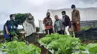 Mengintip Food Estate Temanggung, Sistem Kontrak Harga Untungkan Petani