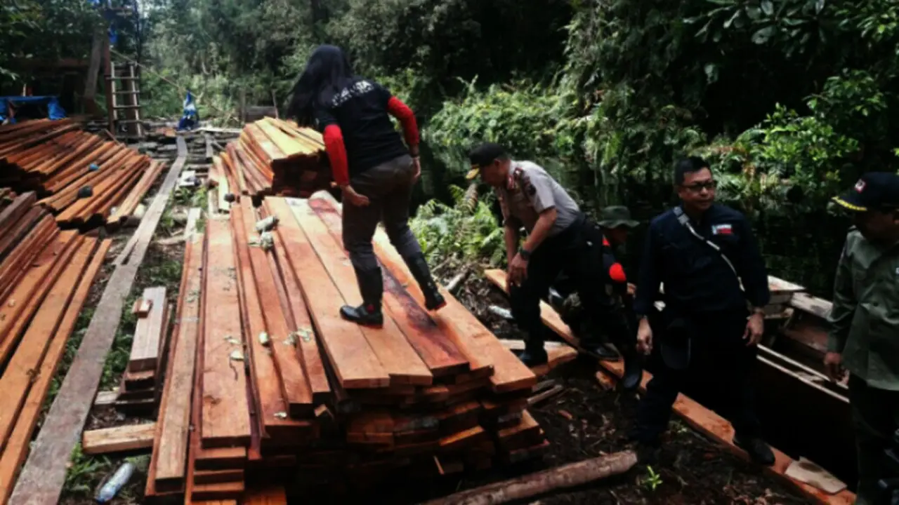 Illegal Logging