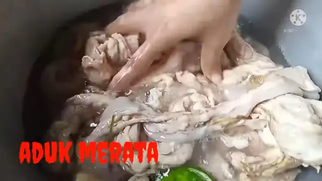 Tambah 2 Bahan, Ini Trik Olah Usus Sapi Agar Empuk dan Tidak Bau