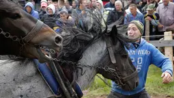 Dua ekor kuda menarik kayu gelondongan ke atas bukit saat mengikuti sebuah kompetisi di kota Sokolac, Bosnia (18/6). Pada acara ini, pemilik kuda seluruh Bosnia berkumpul untuk bersaing dan menunjukan kekuatan kuda mereka. (AP Photo/Amel Emric)