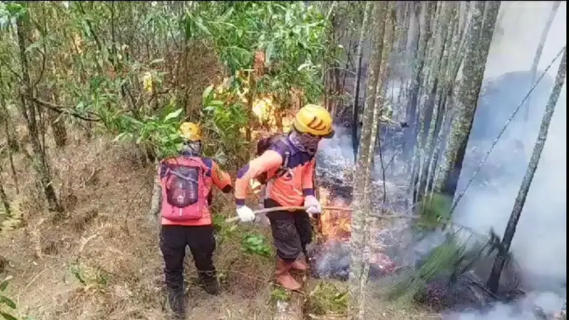 Tim Gabungan Penanganan Kebakaran Gunung Arjuno Sisir Ulang Blok Curah Kluntung