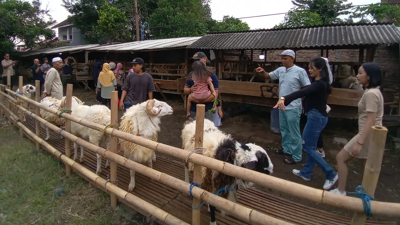 Jual Kambing Gandeng Mahasiswi