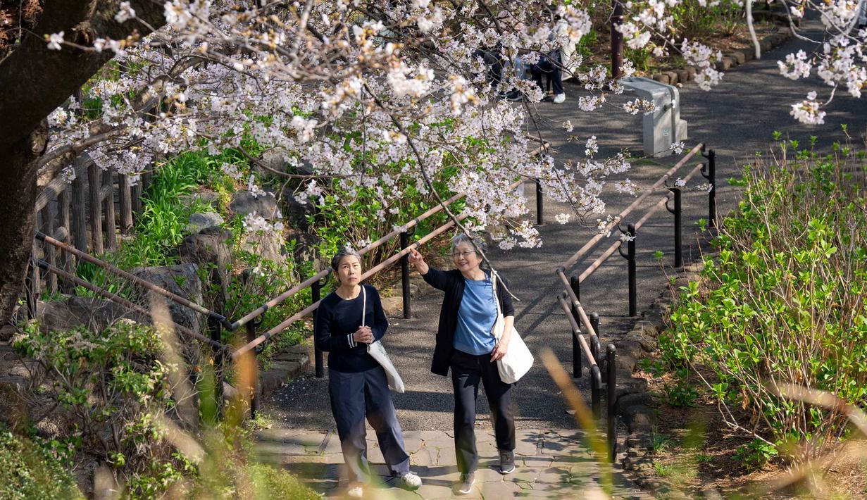 Orang-orang memandang pohon sakura di sebuah taman di Tokyo pada Senin 30 Maret 2026. Akhir Maret hingga awal April, bunga Sakura di taman-taman Tokyo bermekaran. (Yuichi YAMAZAKI/AFP)