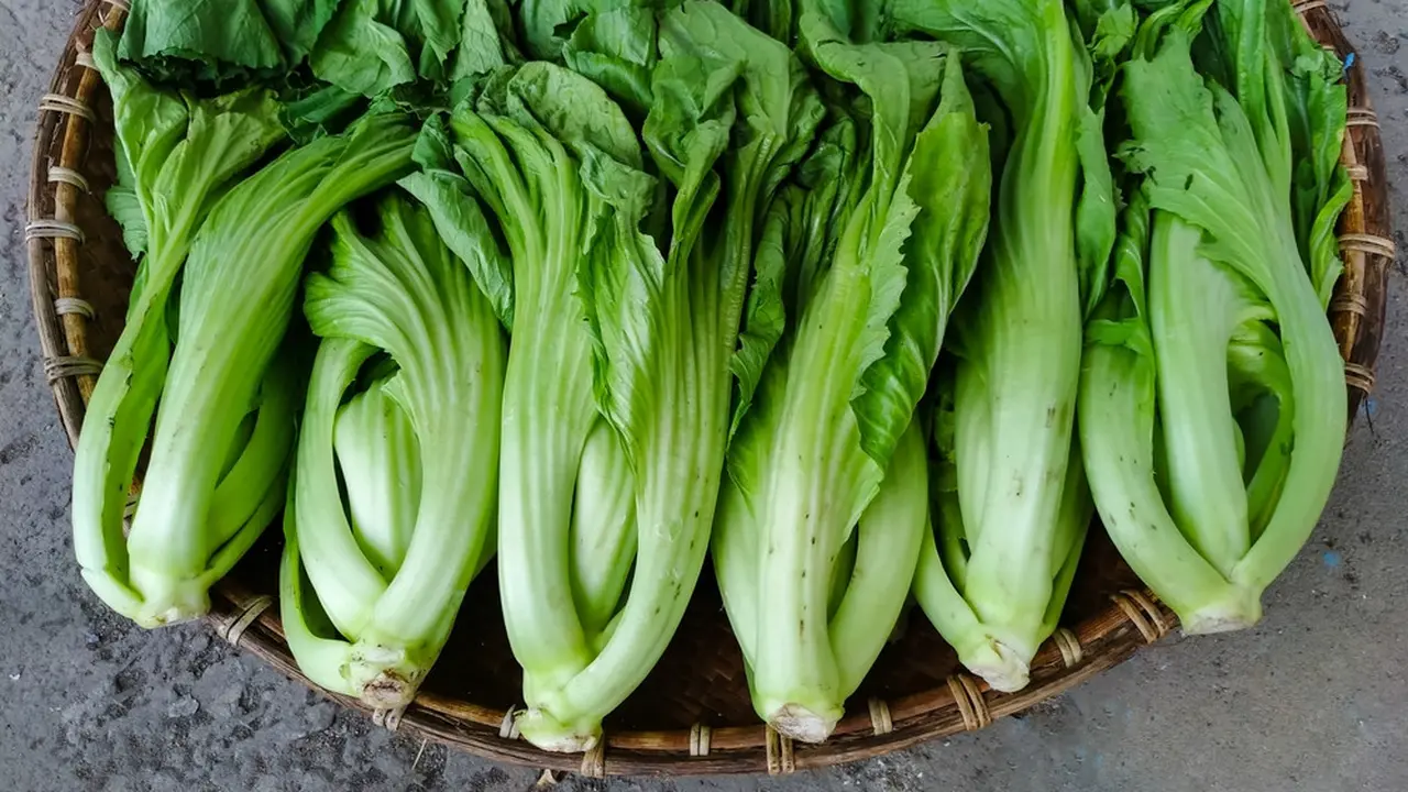 manfaat sawi pahit resep