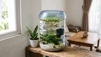 Cara Membuat Kolam Mini dari Galon Bekas untuk Ikan Guppy, Hemat Tempat & Estetik