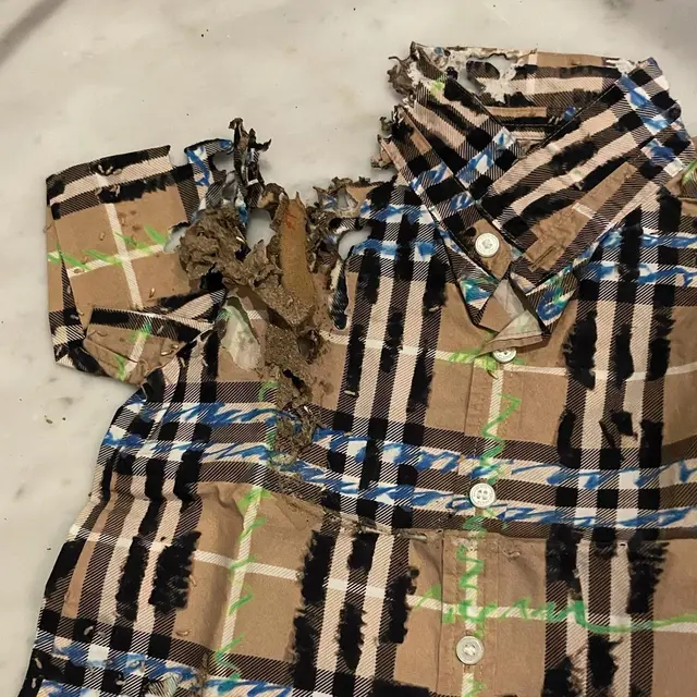 7 Potret Baju Branded Anak Rachel Vennya Dimakan Rayap, Ditaksir Jutaan Rupiah