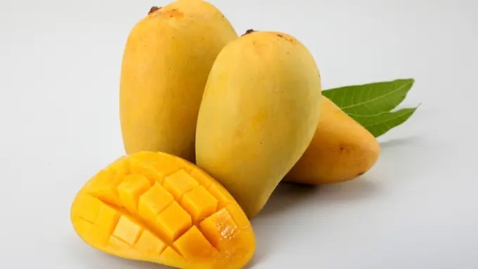 Foto: copyright thinkstockphotos.com