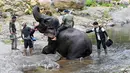 Relawan peduli lingkungan usai menanam pohon di Daerah Aliran Sungai (DAS) Peusangan, Negeri Antara, Bener Meriah, Aceh, Sabtu (18/7/2026). (AFP/ Chaideer Mahyuddin)