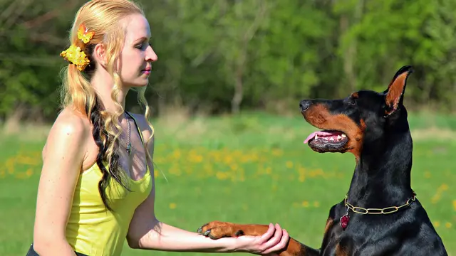 kepribadian berdasarkan anjing favorit