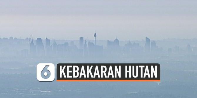 VIDEO: Kebakaran Hutan di Australia Kian Meluas