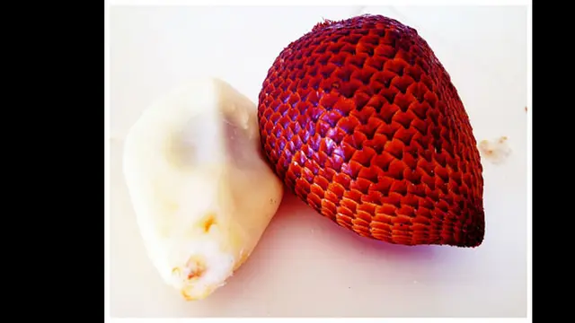 Foto: copyright list25.com